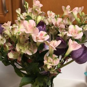 Meet your Posher, Darshana